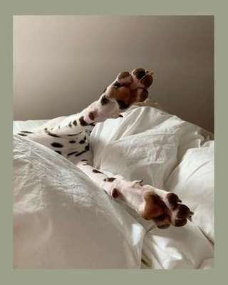 Die unbequemsten und lustigsten Schlafpositionen-Beitrag-Bild