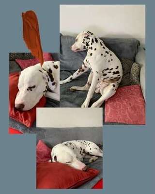 Die unbequemsten und lustigsten Schlafpositionen-Beitrag-Bild