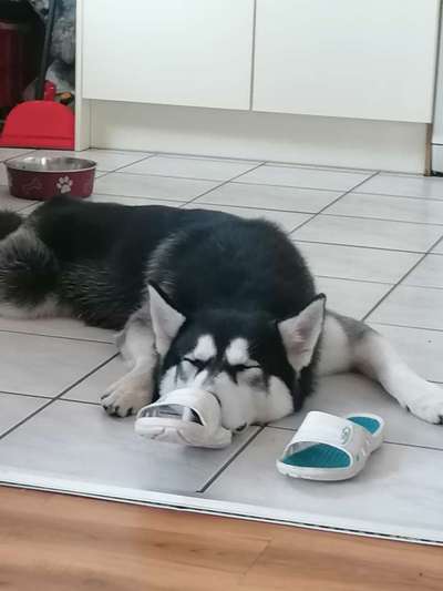 Die unbequemsten und lustigsten Schlafpositionen-Beitrag-Bild