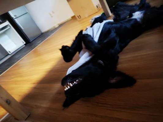 20. Handy -Foto-Callenge-Beitrag-Bild