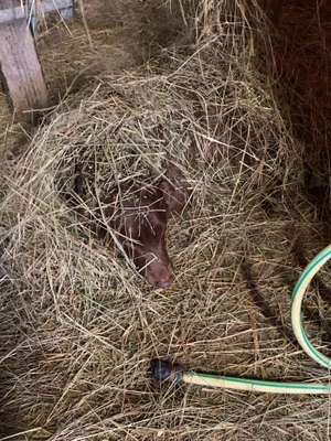 Die unbequemsten und lustigsten Schlafpositionen-Beitrag-Bild