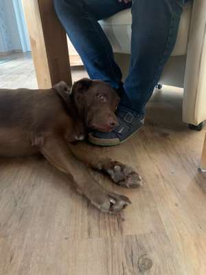 Die unbequemsten und lustigsten Schlafpositionen-Beitrag-Bild