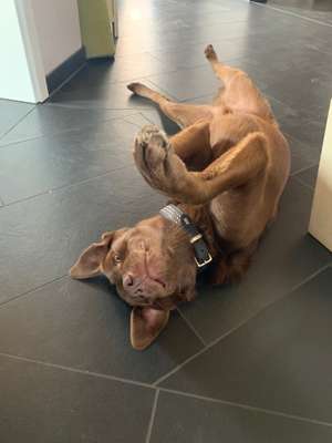 Die unbequemsten und lustigsten Schlafpositionen-Beitrag-Bild