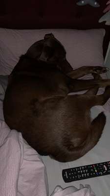 Die unbequemsten und lustigsten Schlafpositionen-Beitrag-Bild