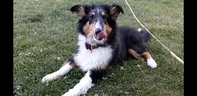 Fotochallenge 37- Sommerfeeling-Beitrag-Bild