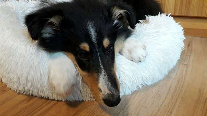 Was sie wohl gerade denken ?-Beitrag-Bild