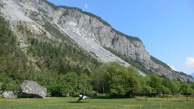 Hundeauslaufgebiet-Felsberg-Bild