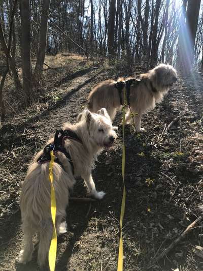 Foto Challenge Nr. 79-Beitrag-Bild