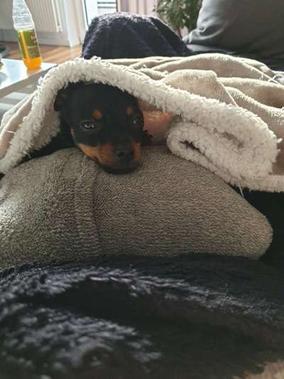 Challenge 21 - wo bin ich : )-Beitrag-Bild