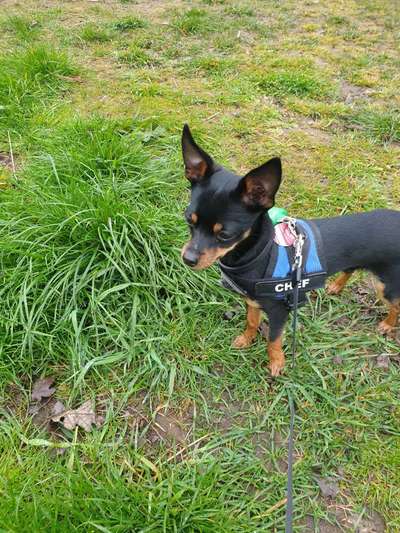 Fotochallenge No. 26                                     Wald und Wiese-Beitrag-Bild