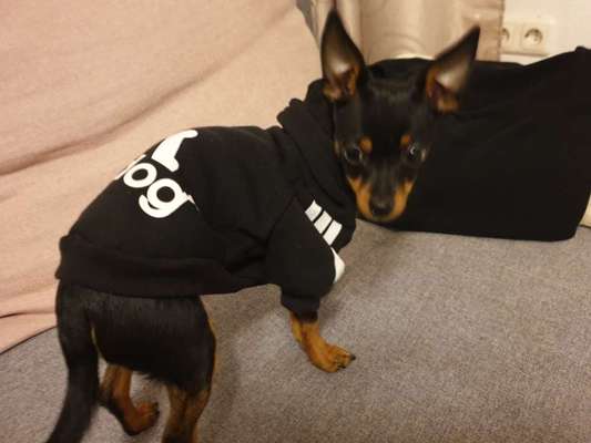 Fotochallenge Nr. 29 - Accessoires-Beitrag-Bild