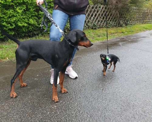 Challenge 30  Freundschaft-Beitrag-Bild