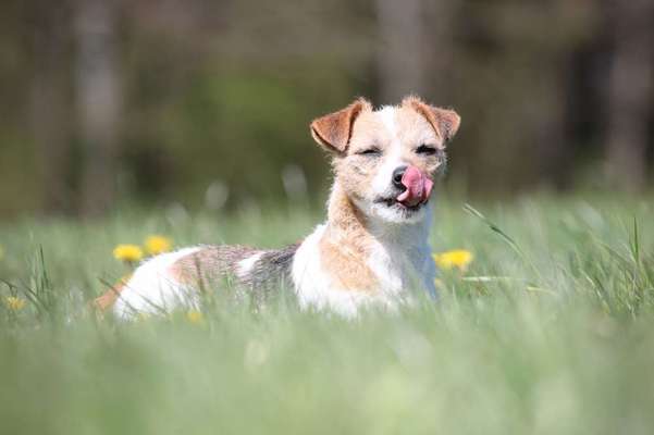 Fotochallange Nr. 57     PORTRÄT.   Beendet!!!!!!!!-Beitrag-Bild