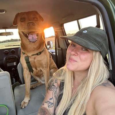 Hundetreffen-Regelmäßige Gassirunde und spielen-Bild