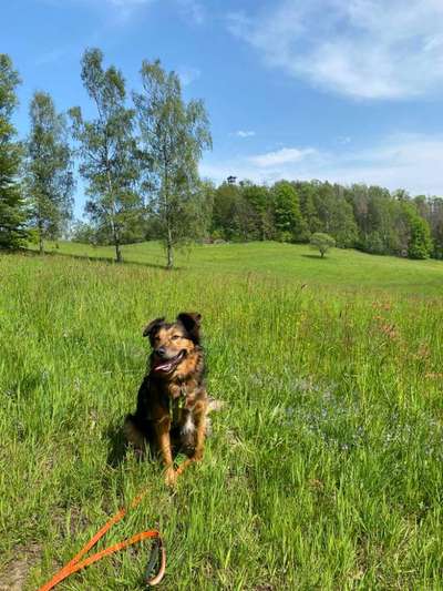 Zeigt eure schönsten Sommerbilder-Beitrag-Bild