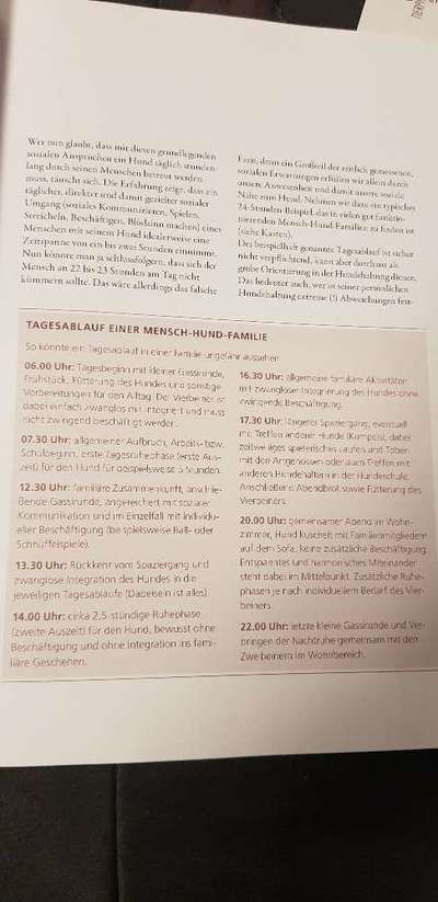 Hundebellen Abends-Beitrag-Bild