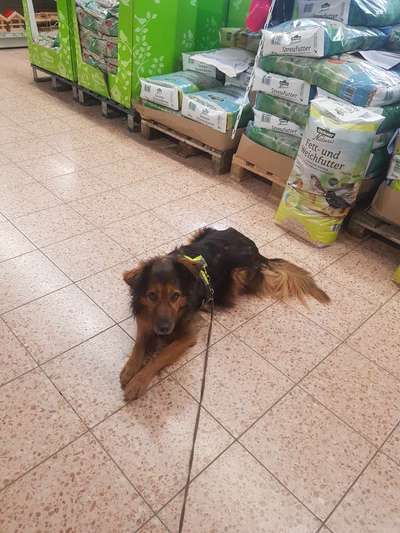 Impulskontrolle Challenge Nr.: 7
         "Gesellschaftsfähig"-Beitrag-Bild