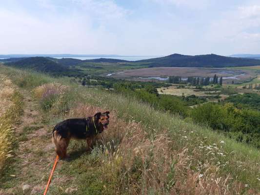 Zeigt eure schönsten Sommerbilder-Beitrag-Bild