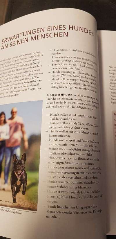 Hundebellen Abends-Beitrag-Bild