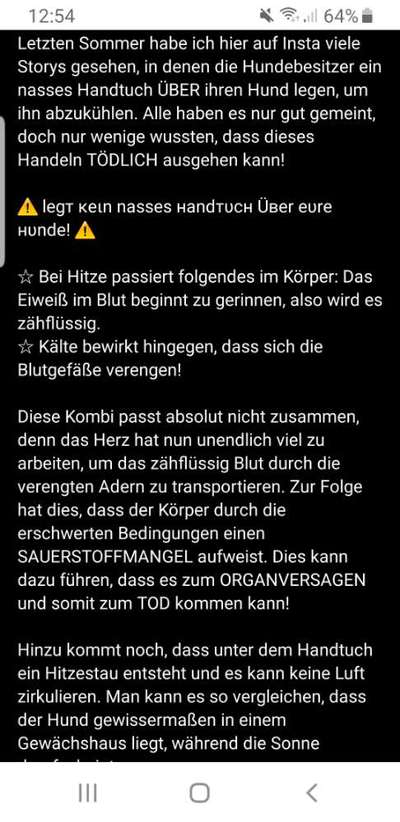 Hitzeschutz im Auto?-Beitrag-Bild