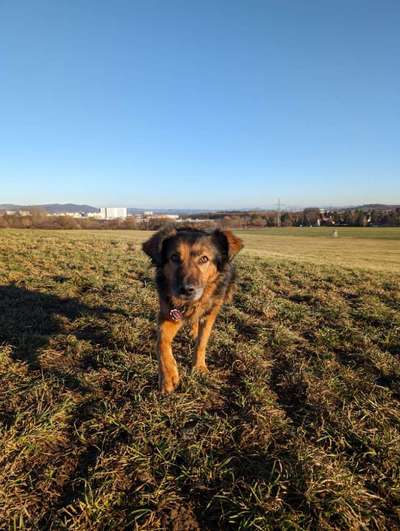 Was hat euch heute gefreut?-Beitrag-Bild