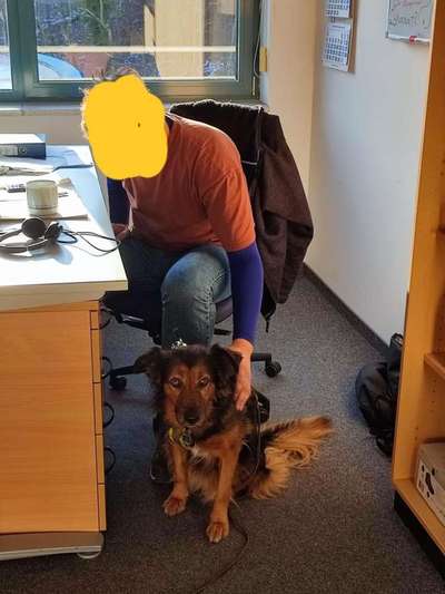 Impulskontrolle Challenge Nr.: 7
         "Gesellschaftsfähig"-Beitrag-Bild