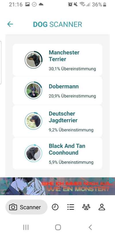 Rasse zurordung-Beitrag-Bild