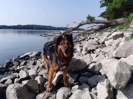 Zeigt eure schönsten Sommerbilder-Beitrag-Bild