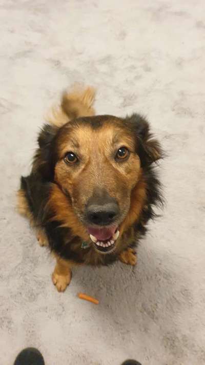 Das beste grinsefoto-Beitrag-Bild