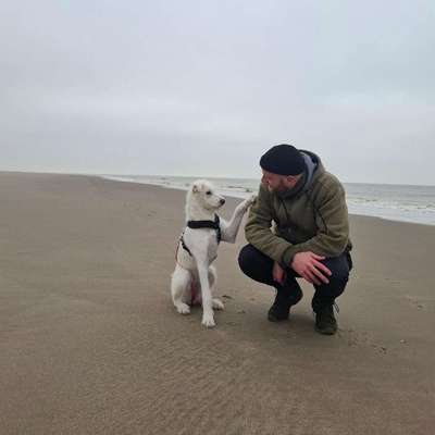 Hundeschulen-Fredos Hundecoaching-Bild