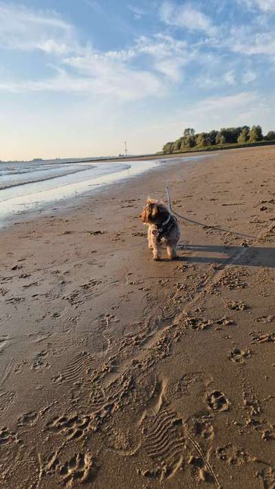 Was hat euch heute gefreut?-Beitrag-Bild