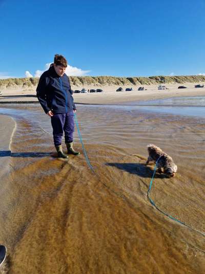 Fotochallenge Nr.100 Urlaubsimpressionen-Beitrag-Bild