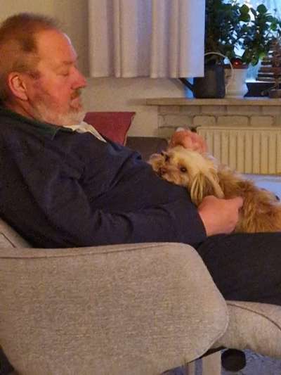 TierschutzhundeStammtisch🐕-Beitrag-Bild