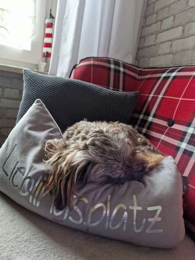 11. Farben Foto Challenge Rot-Beitrag-Bild