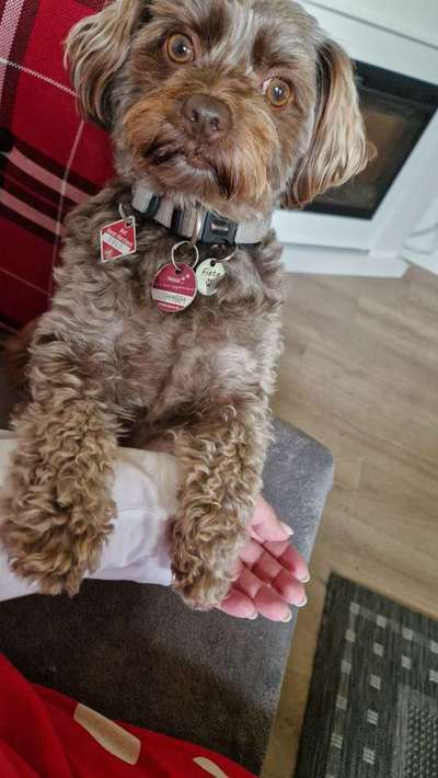 Was hat euch heute gefreut?-Beitrag-Bild