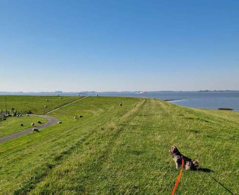 Was hat euch heute gefreut?-Beitrag-Bild