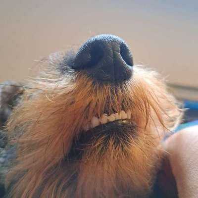 42. Handy Fotochallenge - Den richtigen Riecher haben-Beitrag-Bild