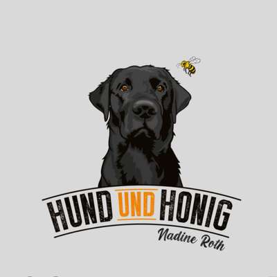 Hundeschulen-Hund und Honig-Bild