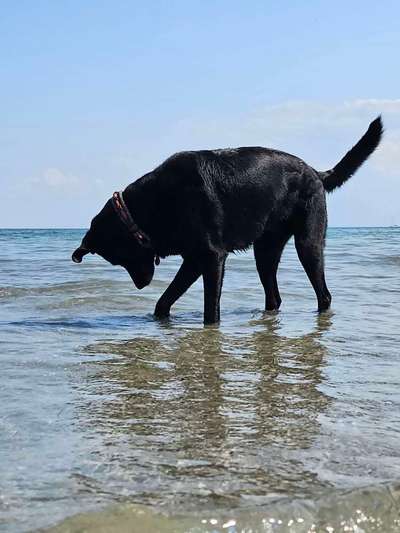 Eure schönsten Fotos mit Wasser-Beitrag-Bild