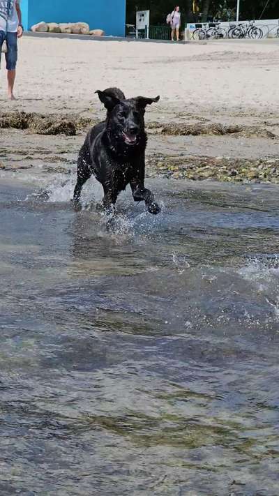 Eure schönsten Fotos mit Wasser-Beitrag-Bild