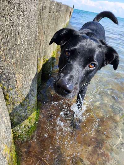 Eure schönsten Fotos mit Wasser-Beitrag-Bild