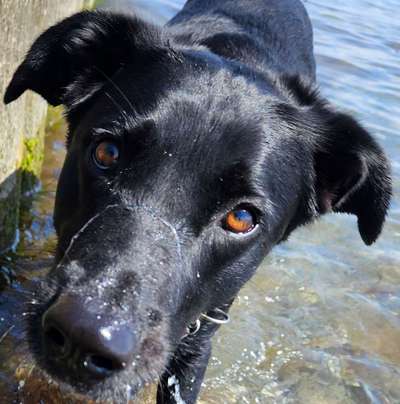 Dogorama Photo Challenge - Details Ganz nah-Beitrag-Bild