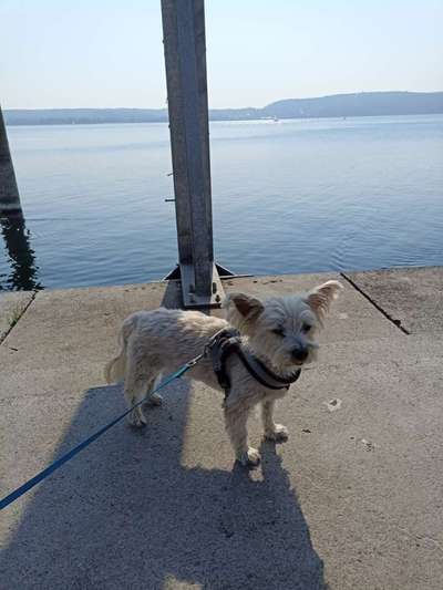 Dogorama Photo Challenge - Tierischer Urlaub-Beitrag-Bild