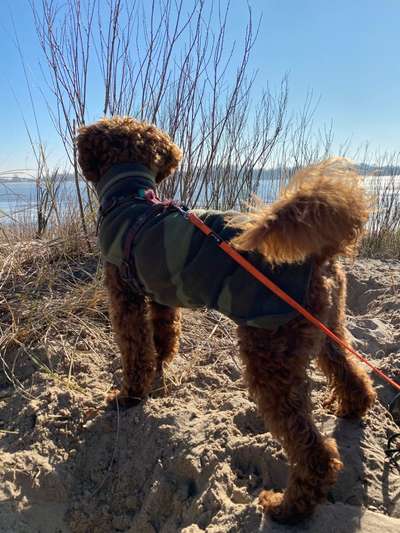 Eure Strandbilder :)-Beitrag-Bild