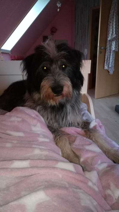 Gibts hier Mioritic Besitzer?-Beitrag-Bild