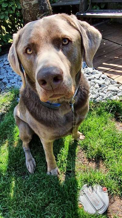 Lieblingsbild-Beitrag-Bild