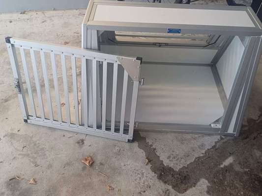 TierschutzhundeStammtisch🐕-Beitrag-Bild