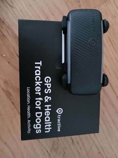 TierschutzhundeStammtisch🐕-Beitrag-Bild