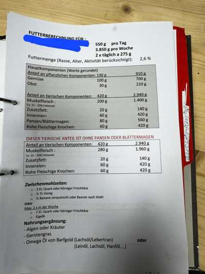 TierschutzhundeStammtisch🐕-Beitrag-Bild