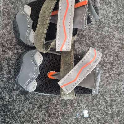 TierschutzhundeStammtisch🐕-Beitrag-Bild